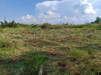 Cần Bán Lô Đất Thổ Vườn 4500M2= 90X50M, Chỉ 5.5 Triệu/m2 Hẻm Xe Tải Sổ Hồng Riêng Tại Nhà Bè