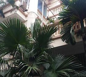 Cơ Hội Vàng Sở Hữu Biệt Thự Bán Đảo Linh Đàm, Lô Góc 3X90M2 Chỉ 10 Tỷ