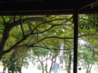 Bán Nhà Ven Hồ Ba Mẫu, Lê Duẩn, Đống Đa, Lô Góc, Ô Tô Cạnh Nhà, 30M X 5 Tầng, Chỉ 2.95 Tỷ 0971199644