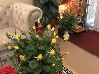 Nhà Nguyễn Thị Định, Cầu Giấy Ngõ Ô Tô Thông, Kinh Doanh Sầm Uất