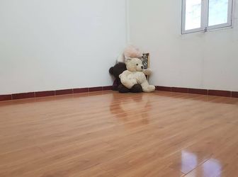 Nhà Nguyễn Thị Định, Cầu Giấy Ngõ Ô Tô Thông, Kinh Doanh Sầm Uất