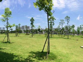 Ra Quỹ Căn Mới View Đẹp Của Dự Án Nam 32