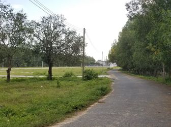 Mở Bán Dự Án Phước Hòa - Phú Mỹ