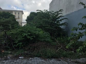 Đất Đường Kiều Phụng,Cẩm Lệ,Hướng Đông, 1 Tỷ 530 Triệu