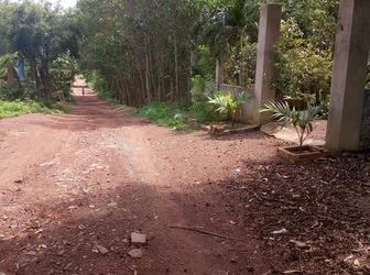 Sở Hữu 14 M Mặt Tiền, Sâu 28M, Chỉ Với 39 Triệu /m Ngang.