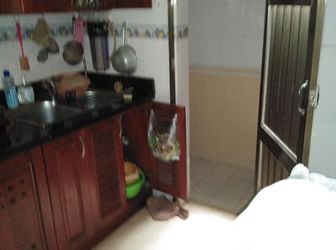 Kinh Doanh Khủng, Ô Tô Tránh, Tháng Máy, Ngụy Như Kon Tum, Thanh Xuân