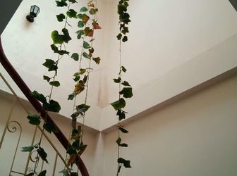 Kinh Doanh Khủng, Ô Tô Tránh, Tháng Máy, Ngụy Như Kon Tum, Thanh Xuân