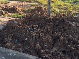 Lễ Mở Bán Dự Án Mới Nhất Đất Nam Luxury Mặt Tiền Trần Văn Giàu