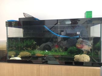 Khu Vip, Hẻm xe tải Hoàng Hoa Thám, Bình Thạnh Cực Chất!