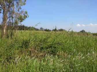 Bán Lô Đất  Đã Có Quyết Định Chuyển Lên Thổ Cư 5.4Tr/M2 Siêu Hot Alo Ngay 0945896446