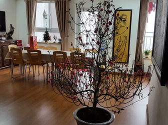 Cần Bán Gấp Căn Hộ 3 Mặt Thoáng 1703B Az Sky Định Công