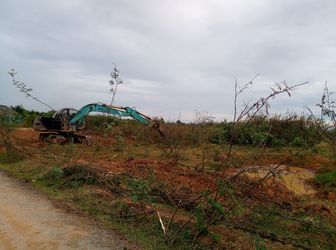 Đất Nền Thổ Cư Giá Rẻ, Vị Trí Độc Tôn Đường Tam Đa - Trường Thạnh