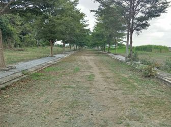 Đất Trung Tâm Tp Bà Rịa Diện Tích 225 M2 Chính Chủ - Shr - Thổ Cư, Khu Dân Cư Hiện Hữu