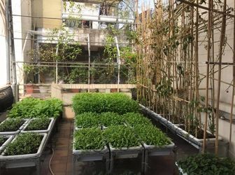 Kinh Doanh Sầm Uất, 130M2 Tây Sơn, Đống Đa, Thang Máy Nhập Khẩu, Chỉ 41 Tỷ