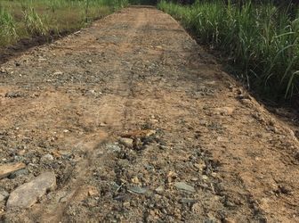 Chính Chủ Cần Bán Gấp Đất Giá Rẻ Tại Vườn Thơm, Bình Chánh