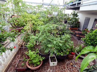 Nhà Mặt Tiền Kinh Doanh Tân Bình, Diện Tích 4Mx20M, Bán Gấp Chỉ 11.5 Tỷ.