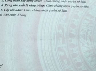 Bán Nhà 1 Trệt 1 Lầu Đường Trương Đinh, Diện tích 66M2. Full Thổ Cư. Anh Chị Chỉ Có Việc Dọn Vào Ở Ngay