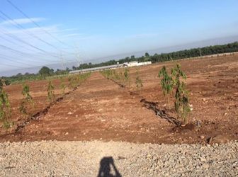 Đất Nền Công Nhân 160Tr/nền/100M2 Sổ Hồng Riêng Từng Nền Sông Trầu -Trảng Bom