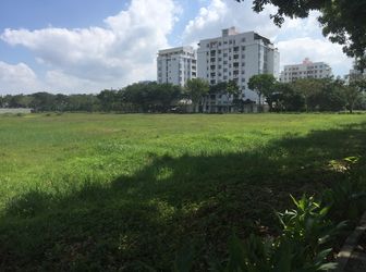 Gấp!!! Cần Vốn Kinh Doanh Đất Mặt Tiền Đường 368M2. Ngang 16M Đường Nguyễn Văn Linh, Huyện Bình Chánh