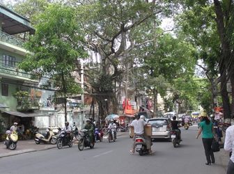 Rẻ Nhất Thị Trường Mp 173M2 Lò Đúc 55 Tỷ, Đầu Tư, Kinh Doanh Cực Tốt.