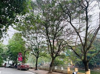 Chính Chủ Bán 3 Lô Đất Tây Hồ 26 Tỷ, 40 Tỷ, 112 Tỷ