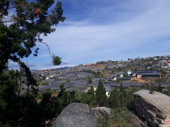 Bán Đất Đường Trịnh Hoài Đức, Phường 11, Đà Lạt 1000M Đ3302