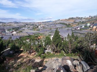 Bán Đất Đường Trịnh Hoài Đức, Phường 11, Đà Lạt 1000M Đ3302