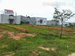 Cần Tiền Chữa Bệnh Cho Con, Chị 8 Có 499M2 Ngay Quốc Lộ 50, Bán Rẻ