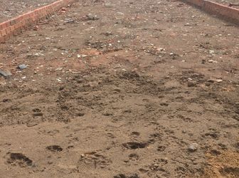 Đất Nền Giá Rẻ Khu Cá Sấu Hoa Cà, Phạm Văn Đồng