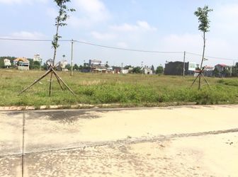 Cần Tiền Chữa Trị Cho Con Trai Nên Vợ Chồng Tôi Quyết Định Bán 300M2 Đất Thổ Cư - Shr Tại Bình Dươn