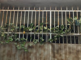 Nhà Chính Chủ 3X10M Đường Nguyễn Tư Giản, Gò Vấp