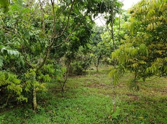 Bán Đất Thổ Cư Yên Bài, Ba Vì, Hà Nội, 2450M2, Mt 54M, Đường 2 Ô Tô Con Tránh Nhau, View Núi Ba Vì 