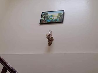 Đẳng Cấp: Mặt Phố Hàng Bông, Hoàn Kiếm 29M2 Giá 16.5 Tỷ