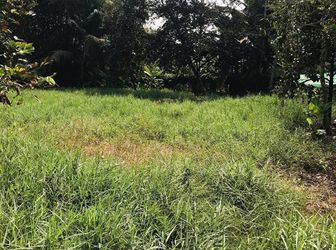 Em Có Một Lô Đất Đẹp Cần Bán Gấp Vì Cần Tiền Kinh Doanh