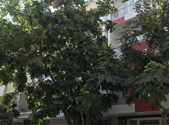 Bán Khách Sạn Khu Công Ích . Dt 4X18M. 3 Lầu .10 Phòng . Thu Nhập 60 Tr / Tháng . Giá 9.5 Tỷ .