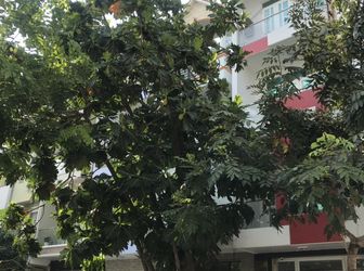 Bán Khách Sạn Khu Công Ích . Dt 4X18M. 3 Lầu .10 Phòng . Thu Nhập 60 Tr / Tháng . Giá 9.5 Tỷ .