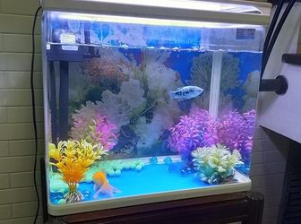 Hiếm, Nhà Phan Đình Phùng, Ba Đình - Diện tích 160M2, Kinh Doanh Đỉnh