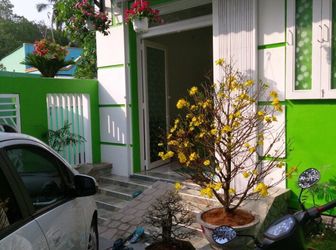 Bán Dãy 7 Phòng Trọ Ngay Khu Công Nghiệp Cầu Tràm, 126M2, Sổ Hồng Riêng