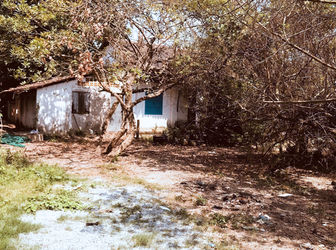 Cho Thuê Đất Vườn Tại Biên Hòa, Đồng Nai