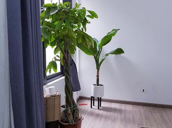 Nhà Tọa Lạc Tại Phùng Khoang, Ô Tô Quay Đầu, Mặt Tiền 5,7M - Giá Chỉ 2,55 Tỷ.