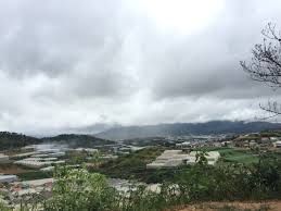 Duy Nhất Chỉ 1 Lô Mặt Tiền Đường Phường 8, Đà Lạt, BĐS Smartland