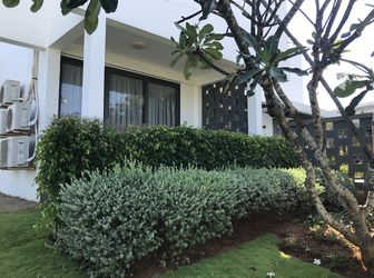 Cần Bán Gấp Căn Biệt Thự Biển