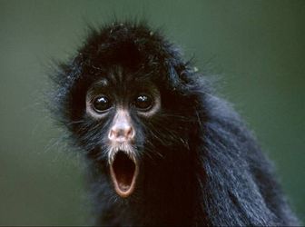 Bán Đất Dự Án Giá Rẻ Chỉ Với 1,2 Tỷ Sở Hữu Lô Đất Đẹp