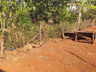 Bán Lô Đất Cho Ai Có Nhu Cầu Sử Dụng Nó.Hẻm 114 Nguyễn Xuân Nguyên