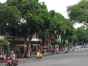  Bán Nhà Mặt Phố Lê Văn Hưu, Hoàn Kiếm, 197M2, Mặt Tiền 8M, 85.5 Tỷ. 0818.266.840