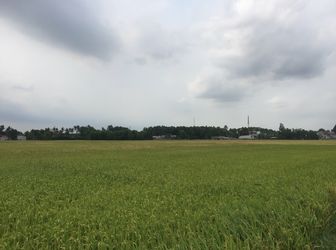 Chính Chủ Gửi Bán Nhanh Lô Đất