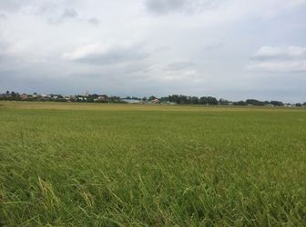 Chính Chủ Gửi Bán Nhanh Lô Đất