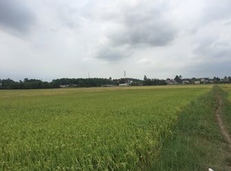 Chính Chủ Gửi Bán Nhanh Lô Đất