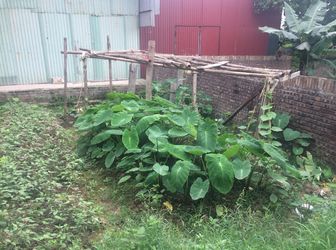 Chỉ Hơn 1 Tỷ Đồng Lô Đất Xóm 8 Đông Dư Gia Lâm-Vincity