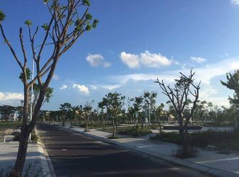 Dự Án Ngay Trung Tâm Thành Phố Đà Nẵng